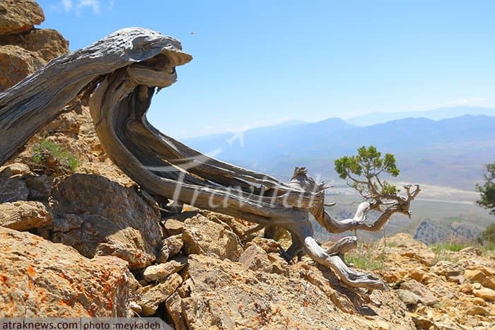 Qorkhod Conservation Area 