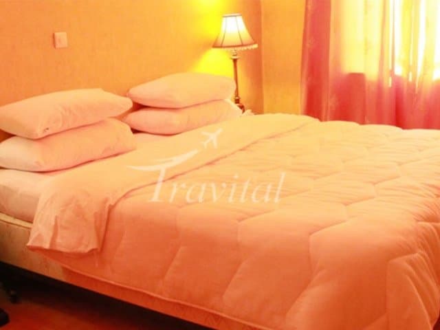 Borj-e Sefid (White Tower) Hotel – Tehran - view 5