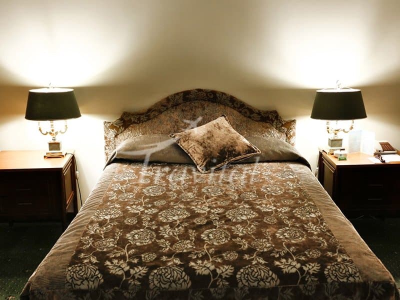 Laleh Hotel – Tehran - view 4