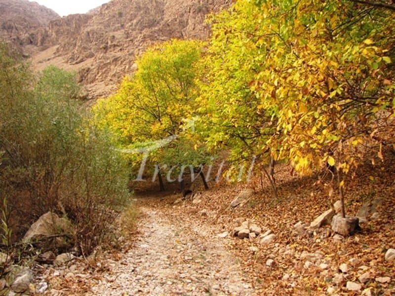 Rafsanjan - view 2