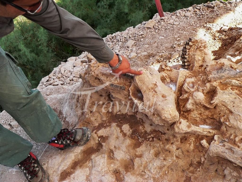 Fossil Site of Maraghe – Maragheh