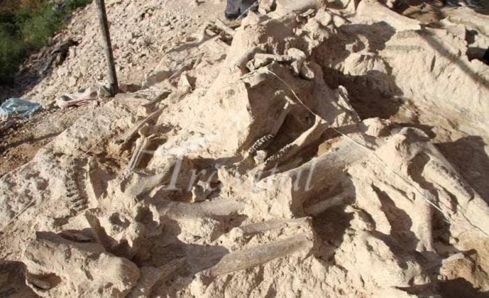 Fossil Site of Maraghe – Maragheh - view 2