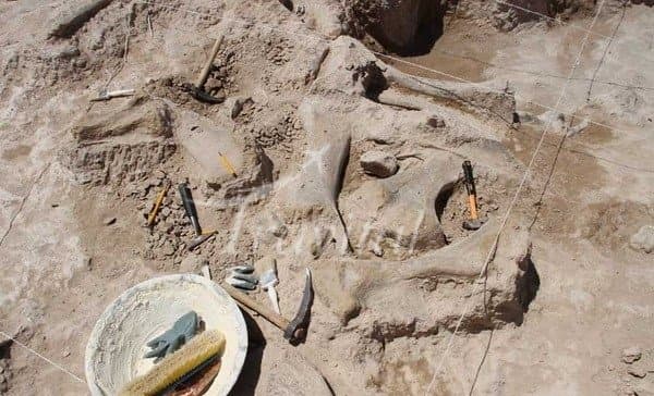 Fossil Site of Maraghe – Maragheh - view 3