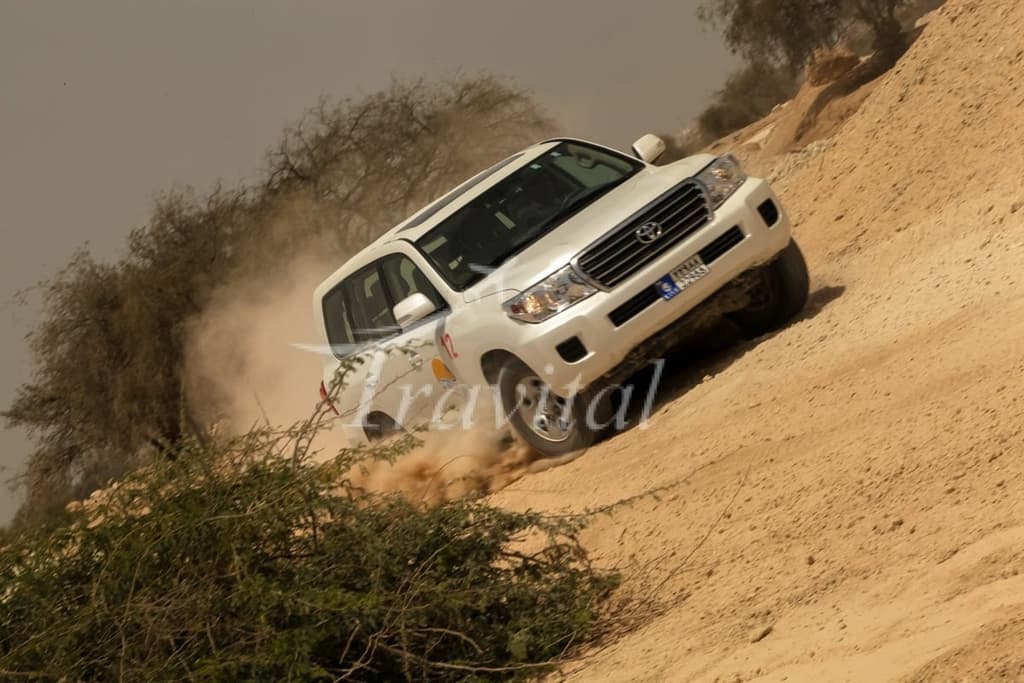 Safari – Kish