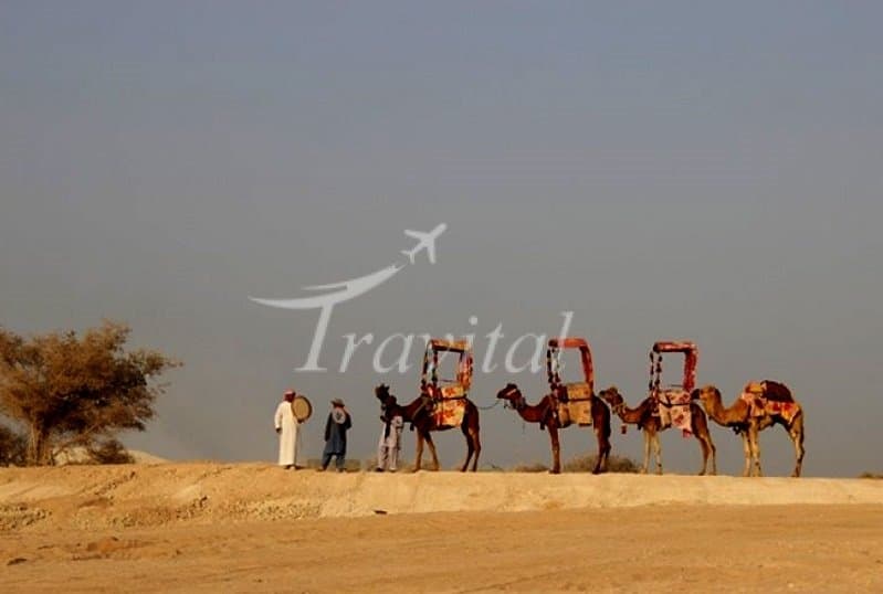 Safari – Kish - view 2
