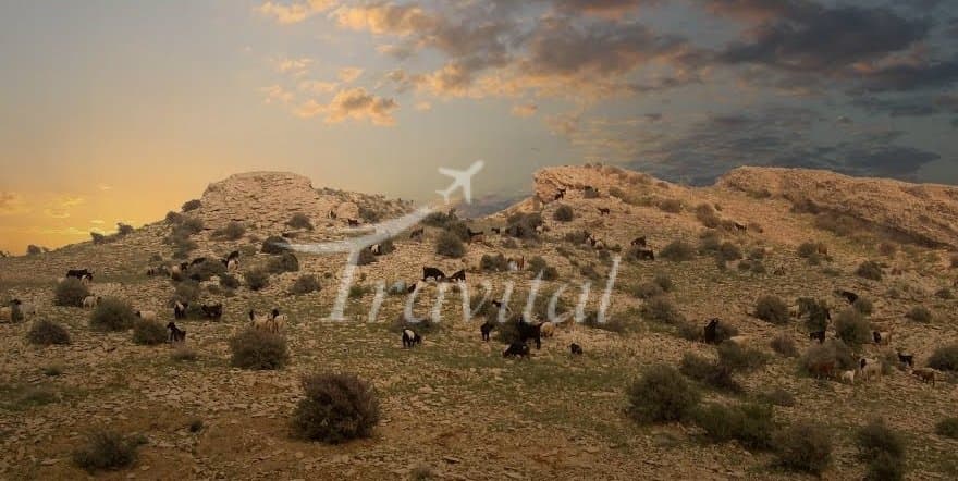Altitudes and Summits – Bushehr - view 2
