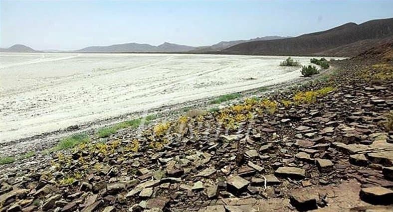 Arjan Lake and Wetland – Shiraz - view 2