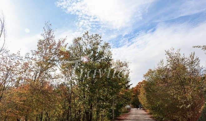 Baba Aman Promenade – Bojnourd - view 2