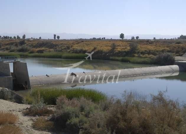 Bampour River 
