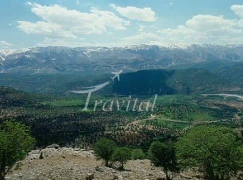Bazoft Forest Zone – Shahrekord - view 2