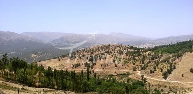 Charam Village 