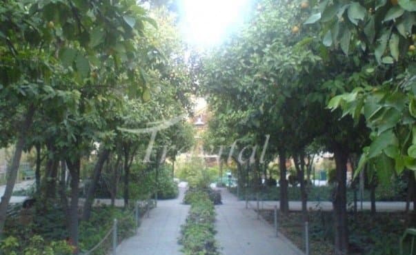 Chehel Tan Garden 