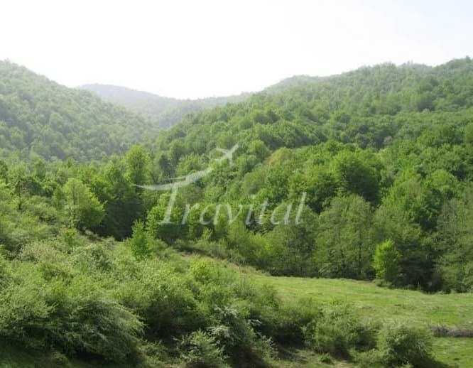 Chelcheli Hunting Prohibited Area – Gorgan