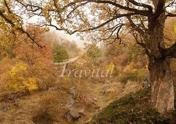 Chelcheli Hunting Prohibited Area – Gorgan - view 2