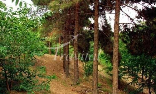 Chitgar Forest Park – Tehran - view 2