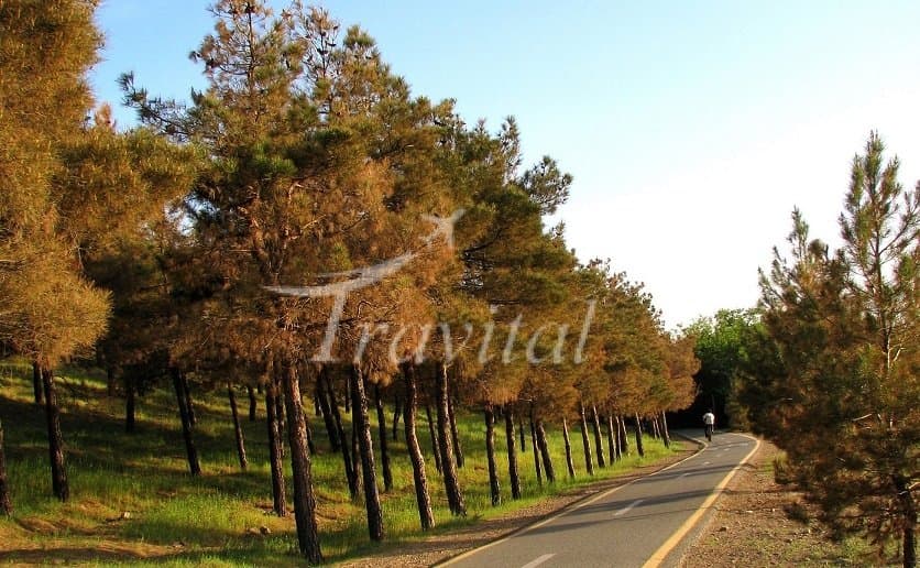 Chitgar Forest Park – Tehran - view 3