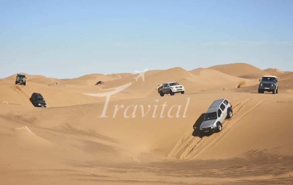 Desert Attractions 