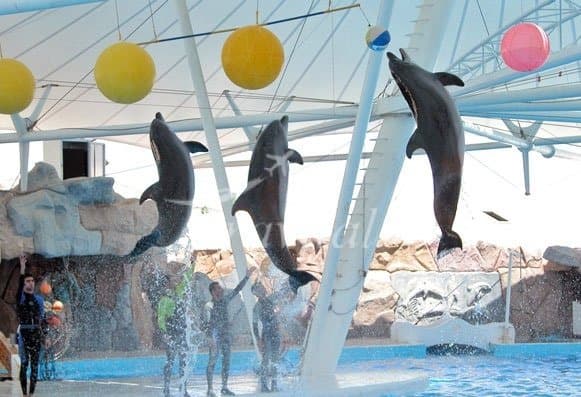 Kish Island Tour + Tehran & Shiraz