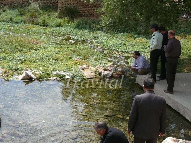 Emarat Wetland – Arak - view 3