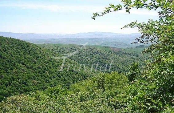 Forests and Deserts – Semnan - view 3