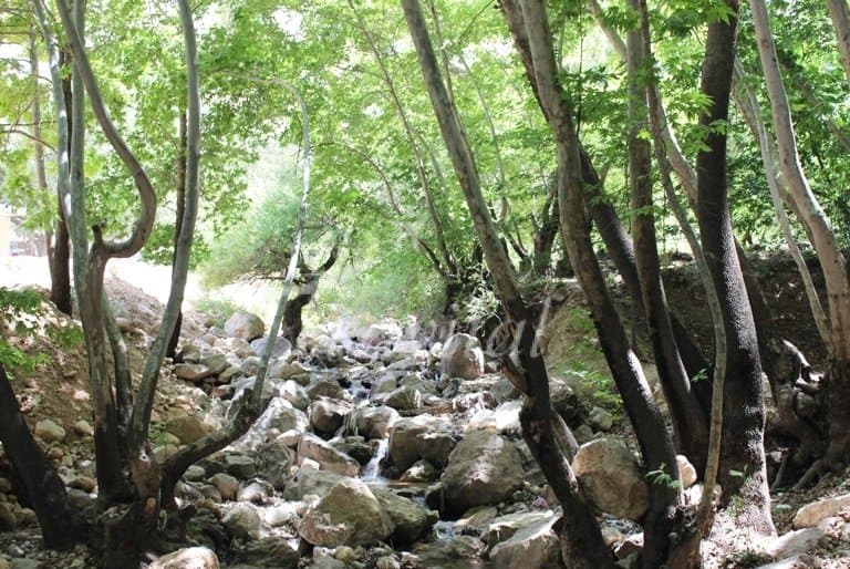 Ganjehie Gorge 