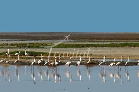 Gavkhoony Wetlands – Isfahan - view 2