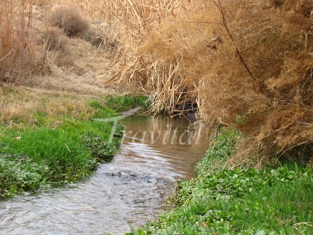 Gol Roodbar River 