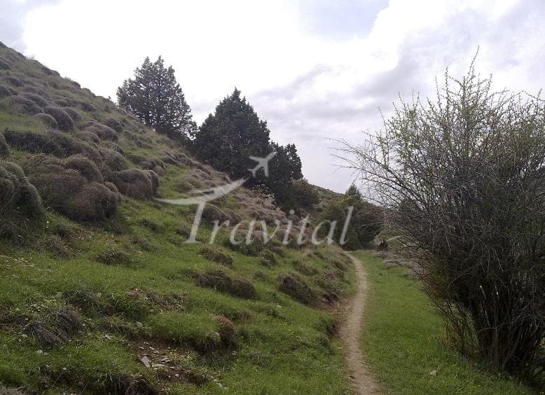 Golool Protected Zone – Shirvan - view 2