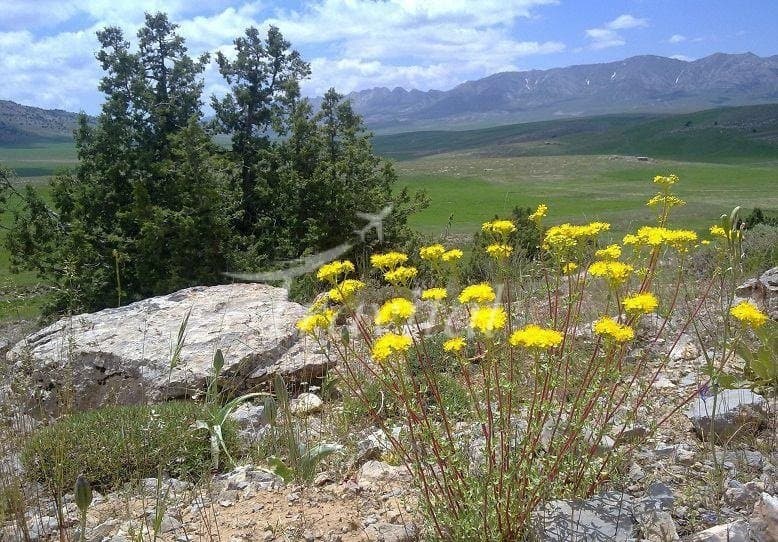 Golool Protected Zone – Shirvan - view 3