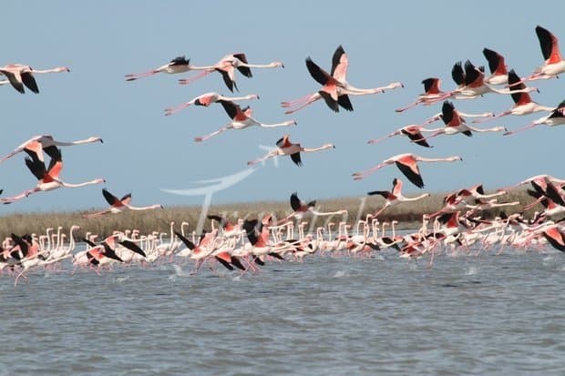 Gomishan Wetland – Gorgan - view 2