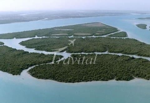 Harra (Mangrove) protected area – Qeshm