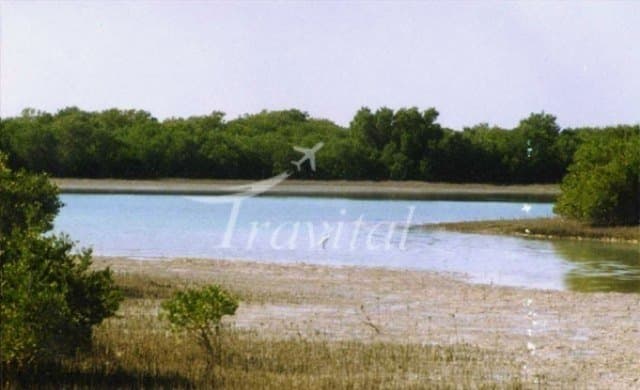 Helleh Wetland – Bushehr