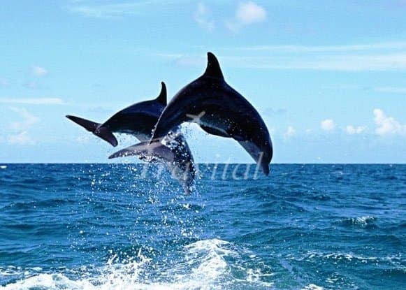 Hengam Island – Qeshm