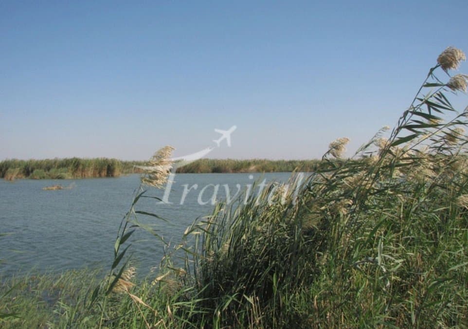 Hoor Mazra’eh Wetland – Dezful - view 3