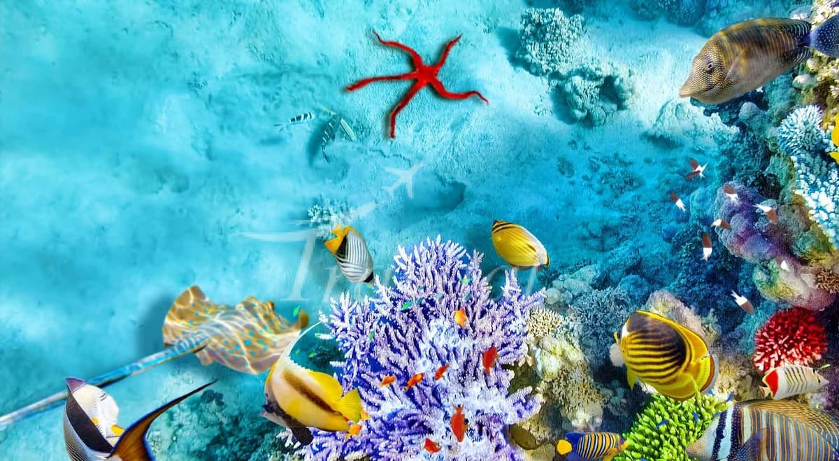 Isfahan Aquarium 