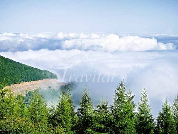 Jangale Abr (Cloud forest) – Shahrood