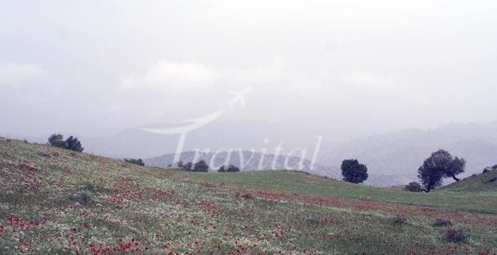 Kan-e-Gonbad Graveyard – Ilam - view 2