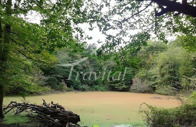 Kandochal Wetland 