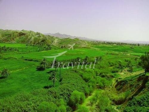 Kermanshah Plains – Kermanshah - view 2