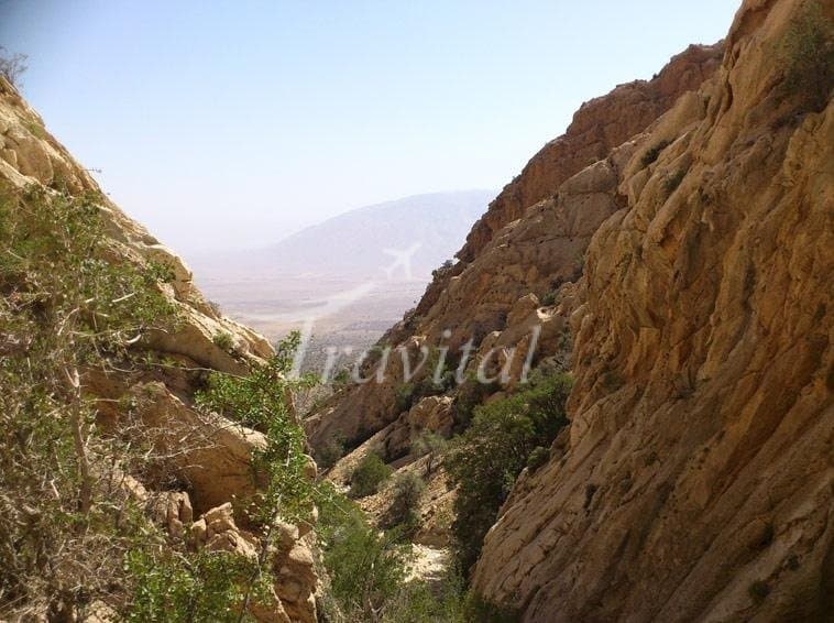 Fasa - view 3