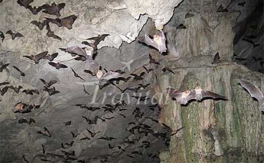 Khofash Cave – Dehloran