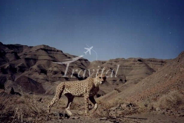 Khojir and Sorkheh Hesar National Park 