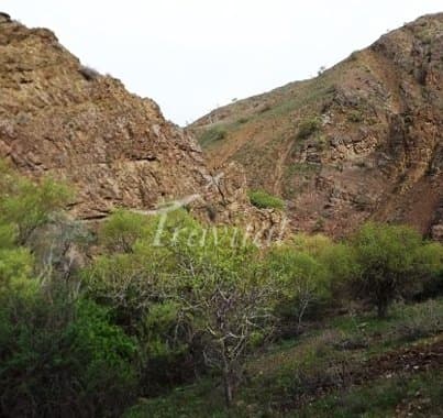 Khojir and Sorkheh Hesar National Park – Tehran - view 2