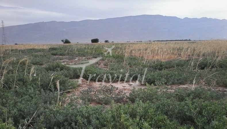 Khormoj Village Areas 