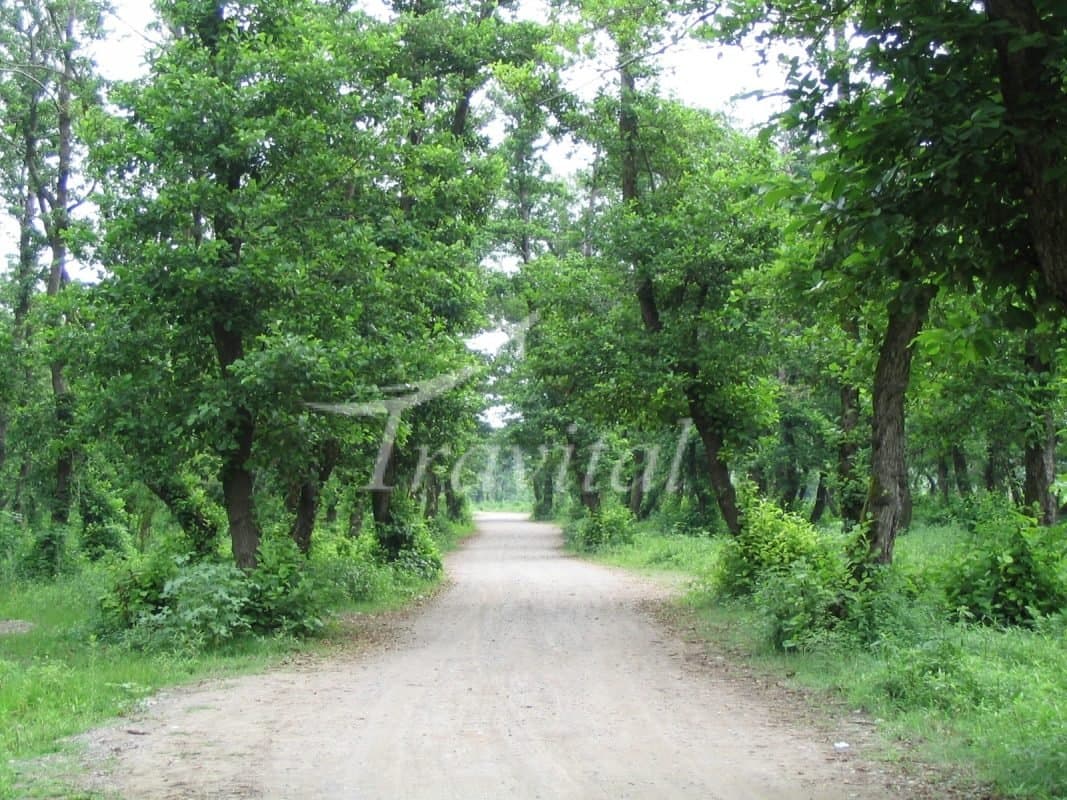 Kiashahr Village – Rasht - view 2