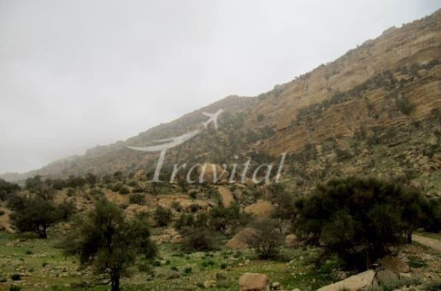 Kooh Siyah Hunting Zone 