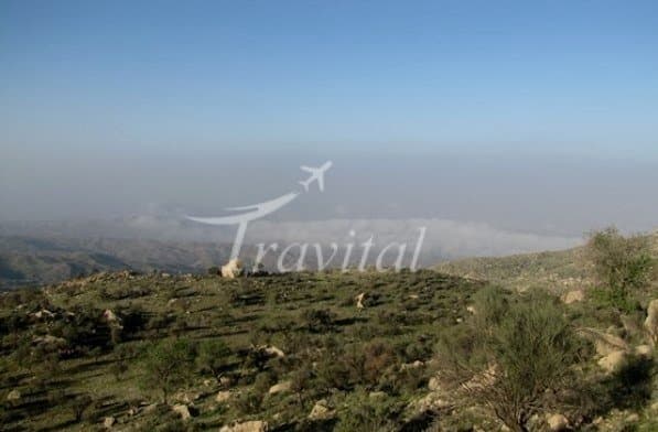 Kooh Siyah Hunting Zone – Dashtestan (Burazjan) - view 3
