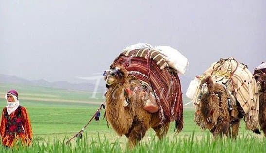 Kurmanji Nomads – Bojnourd - view 2