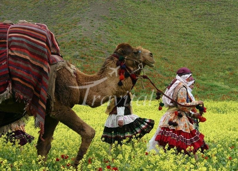 Kurmanji Nomads – Bojnourd - view 1