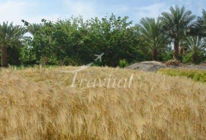 Ladiz Village – Shiraz - view 3